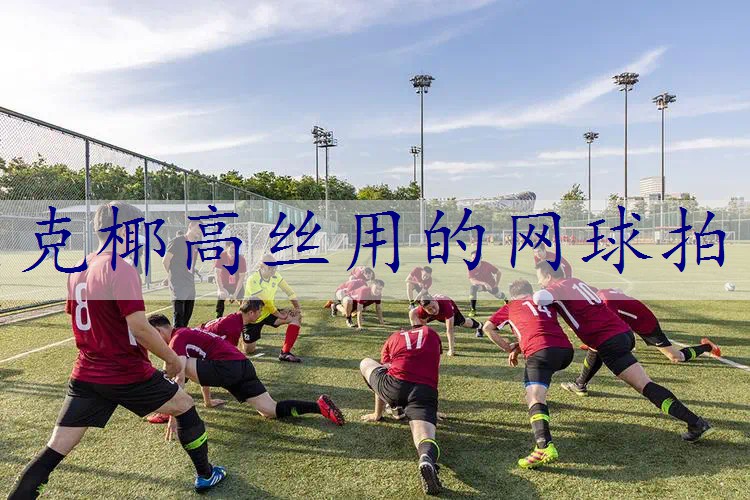 克椰高丝用的网球拍