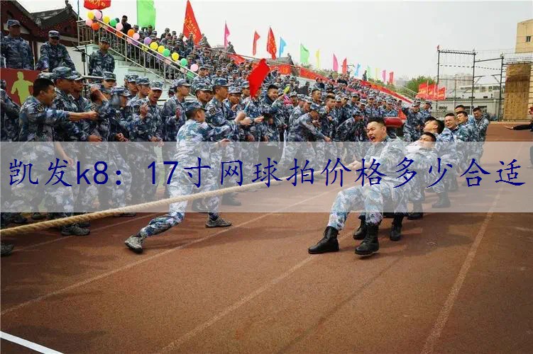 17寸网球拍价格多少合适