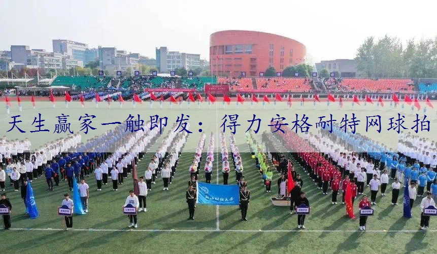 得力安格耐特网球拍