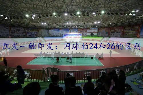 网球拍24和26的区别
