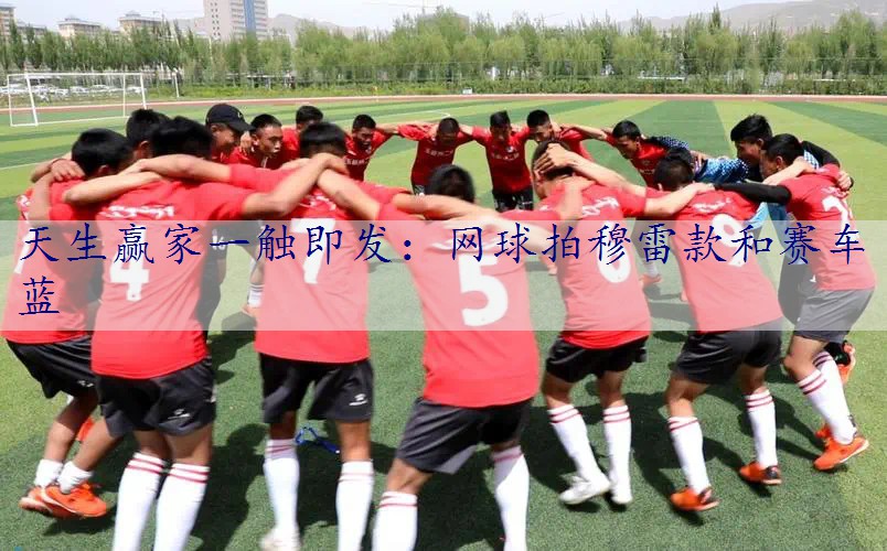 网球拍穆雷款和赛车蓝