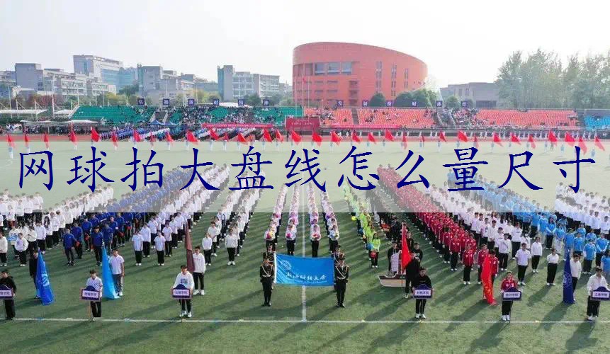 网球拍大盘线怎么量尺寸