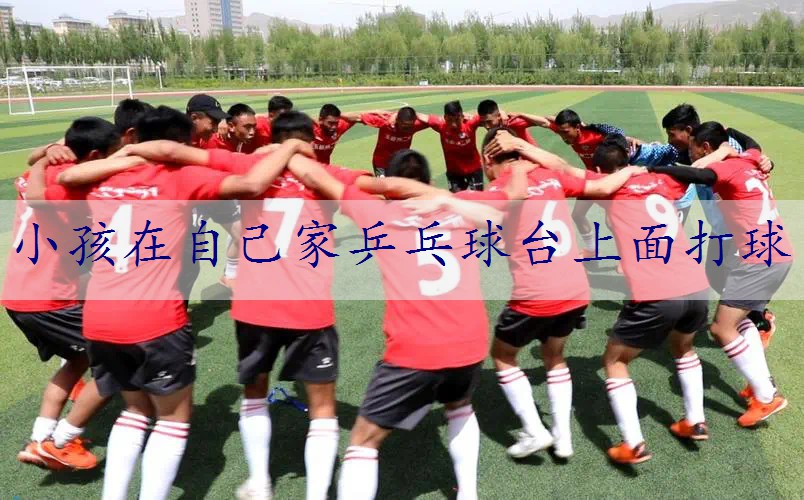 小孩在自己家乒乓球台上面打球