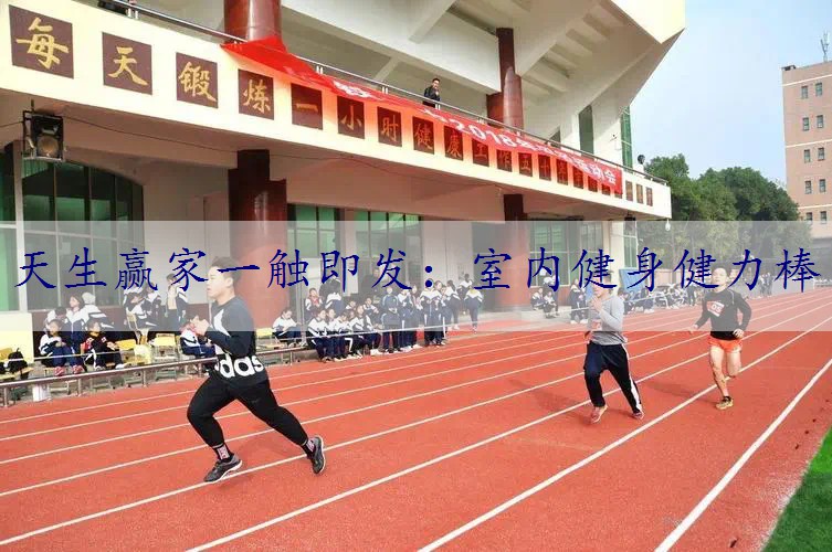 室内健身健力棒