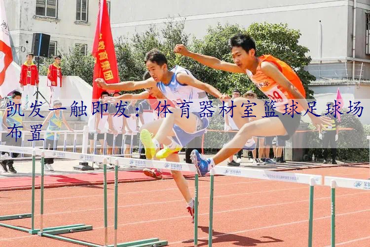 体育器材室篮球足球场布置
