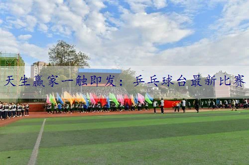 乒乓球台最新比赛