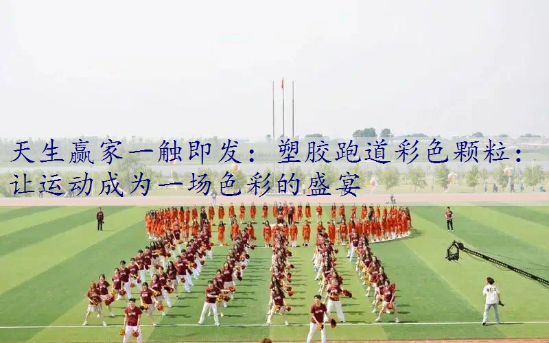 塑胶跑道彩色颗粒：让运动成为一场色彩的盛宴