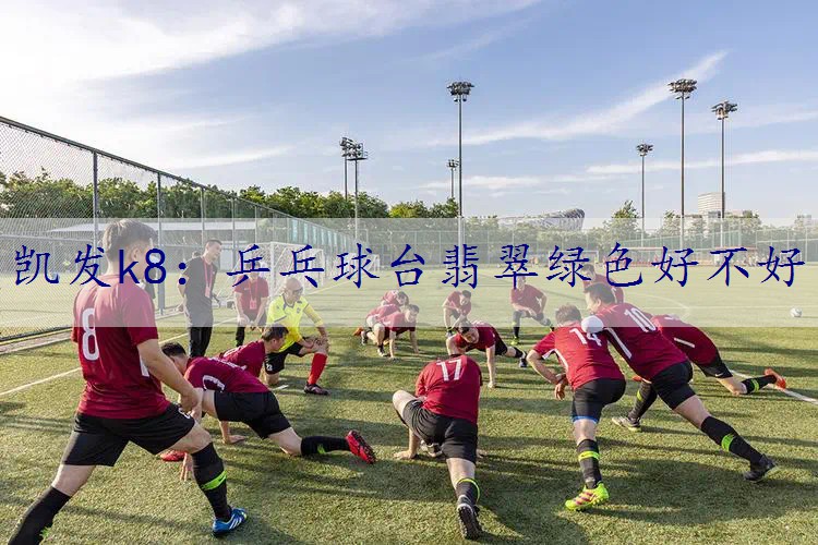 乒乓球台翡翠绿色好不好