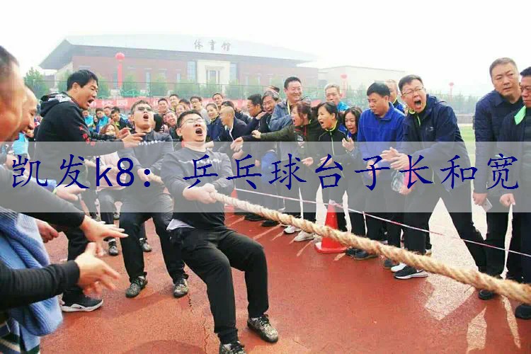 乒乓球台子长和宽
