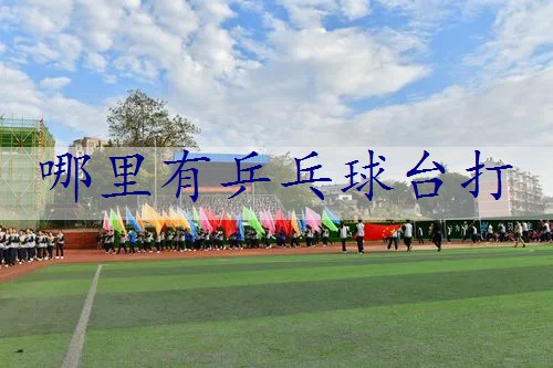 哪里有乒乓球台打