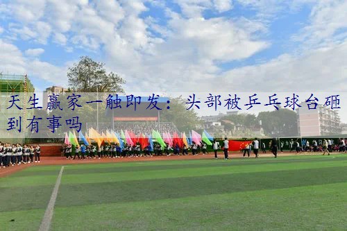 头部被乒乓球台砸到有事吗