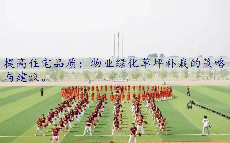 提高住宅品质：物业绿化草坪补栽的策略与建议。